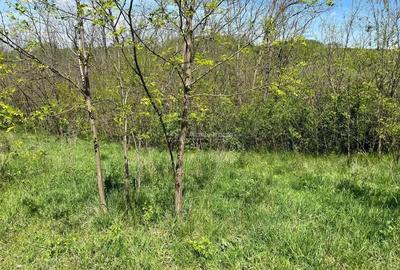 Lugoj Teren 5.300 Mp., Dealul Viilor, Priveliste Impresionanta - 9