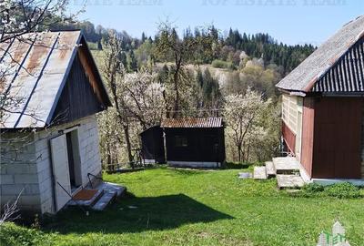 De vanzare teren intravilan, 23.594 mp, imprejmuit, cu utilitati - Rosia Montana - 2
