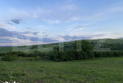 Teren de 21450 mp, în Moldovenești - 2