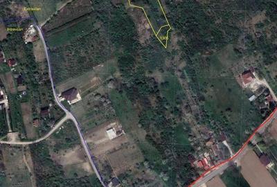 Teren de 1200 mp, în Podgoria