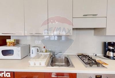 Apartament cu 3 camere decomandat, mobilat în Herăstrău - 5