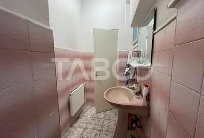Spatiu Comercial de vanzare 277 mpu zona Orasul de Jos Sibiu - 12