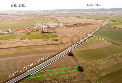 Teren în Cheriu - 5