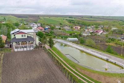 Casă cu 10 camere cu Teren 10116 Mp în Todireni - 7