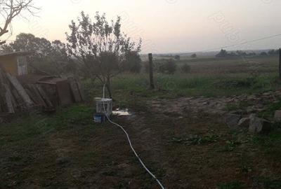 Casa batrineasca cu teren de vinzare - 5