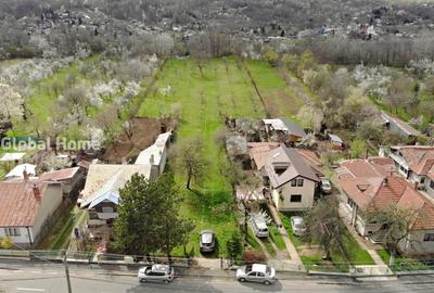 Teren Construcții intravilan de 4898 mp, în Cornu de Jos (Cornu) - 3