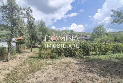 Casă cu 3 camere cu Teren 1565 Mp în Bengești - 4