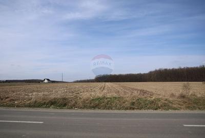 Teren agricol extravilan de 9740 mp, în Nord - 2