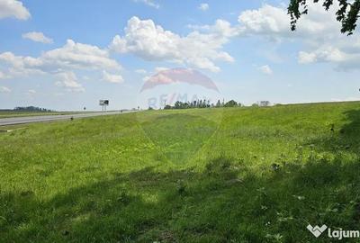Teren de 7000 mp, în Ilișești - 3