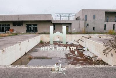 Casă cu Teren 6802 Mp în Albina