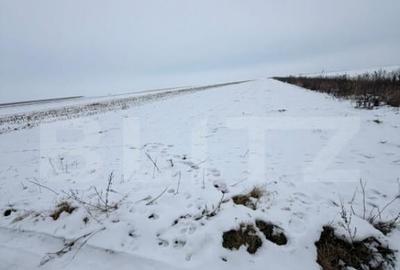 Teren de vanzare, 9000 mp, cartier Izvor - Tarlungeni - 105. - 3