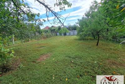 Casa de vanzare in Alba Iulia Cetate -Lidl - 9