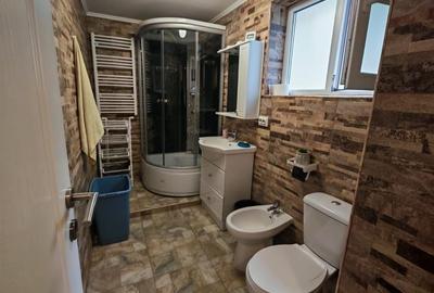 Casa 6 camere 165mp + 160m curte liber Piata Sudului, Obregia, Berceni - 19