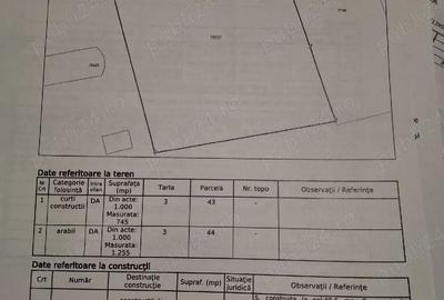 Casă cu Teren 2000 Mp în Cuza Vodă - 4