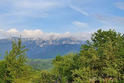 Spațiu comercial, în Peștera