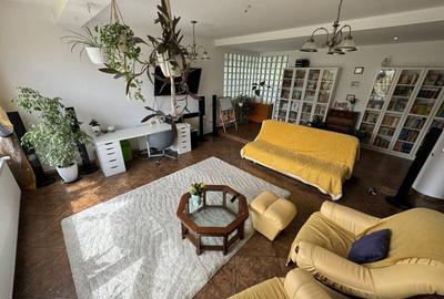 Casa cu pozitionare buna in Cristian,pretabila pentru 2 familii - 3