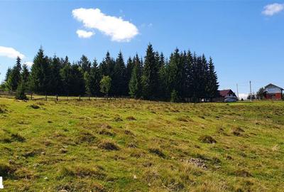 Teren de 1350 mp, în Beliș - 2