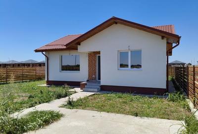 Casa 3 Camere, Finisaje Premium, Teren 409 mp - Vidra - 1