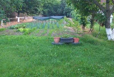 Casa si teren 1815 m - 8