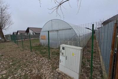 Teren de 841 mp, în Moara Vlăsiei - 1