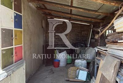 Casă cu 1 camere cu Teren 3000 Mp în Copăcel - 12