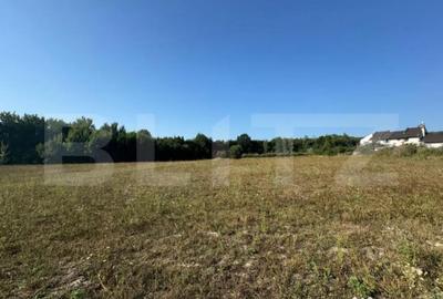 Teren de 3000 mp, în Central