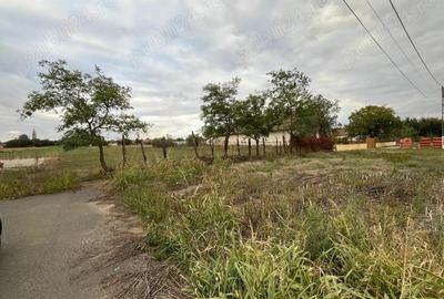 Teren de 3000 mp, în Checea - 13