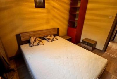 Apartament cu 2 camere semidecomandat, mobilat în Brazda lui Novac - 10