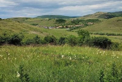 Teren de 2200 mp, în Rădaia - 4