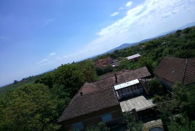 Casă cu 3 camere în Gurba - 3