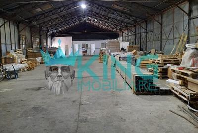 Spațiu industrial, 1633 mp în Sud - 3