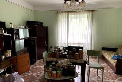 Casă cu 4 camere cu Teren 3113 Mp în Otelec - 13