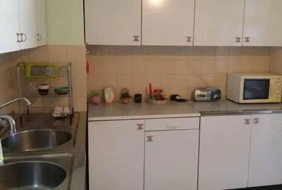 Apartament de inchiriat cu 2 camere in zona Buziasului - 5