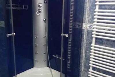 Apartament cu 2 camere semidecomandat în Traian - 4