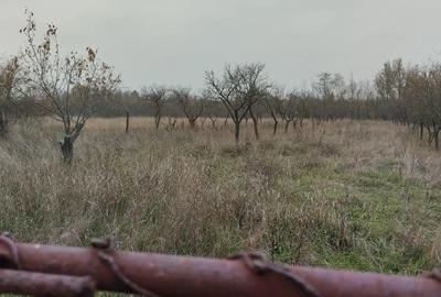 Proprietate de vanzare.Sat Draghicesti com.Sapata jud.Arges - 10