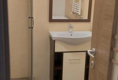 Garsonieră decomandată în Turnișor - 3