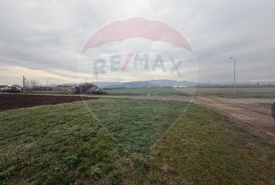 Teren Construcții intravilan de 405 mp, în Partoș - 1