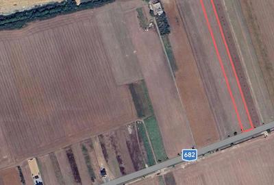 Teren de 10000 mp, în Zădăreni - 2