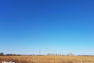 Teren de 26800 mp, în Lehliu - 3