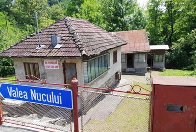 Casa si teren la Provita de Jos - 1