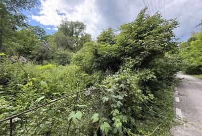 Teren Construcții intravilan de 683 mp, în Plaiu (Provița de Sus) - 14
