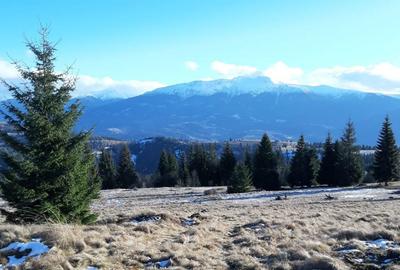 Teren de 470000 mp, în Moisei - 8