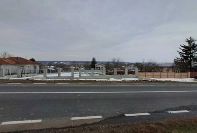 Spațiu comercial, în Crevedia Mare - 3