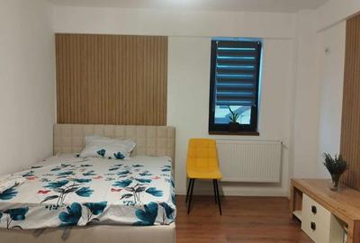 Apartament cu 2 camere decomandat, mobilat în Dancu - 8