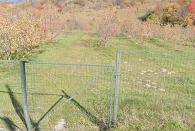 Spațiu comercial, în Central - 3