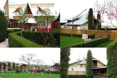 Casă individuală cu 5 camere cu Teren 3500 Mp în Brebu Mânăstirei - 4