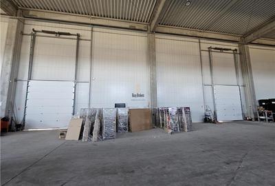 Spatiu Industrial - 2300 mp - Productie - Depozitare - 7