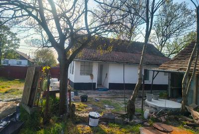 Casă individuală cu 3 camere cu Teren 1500 Mp în Tormac - 7