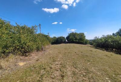 Teren Construcții intravilan de 2200 mp, în Mănăstioara (Siret) - 3