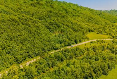 COMISION 0% Teren 3750mp / Sacele / DN1A / Potential turistic - 2